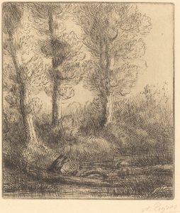 Margens do Saint-Pre (Rive du Saint-Pre) de Alphonse Legros