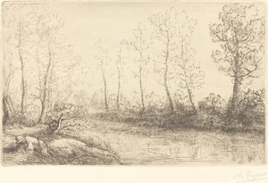 Bétulas: beira da água vista na luz da manhã de Alphonse Legros