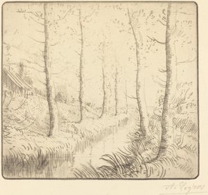 Bétulas ao longo da água de Alphonse Legros