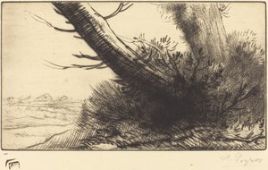 Canto de um caminho No canto de um caminho. de Alphonse Legros