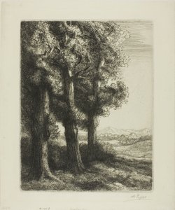 Borda de uma madeira de Alphonse Legros