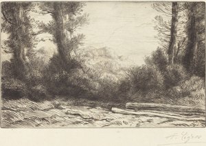 Bordo de um Lisiere de bois de madeira. de Alphonse Legros