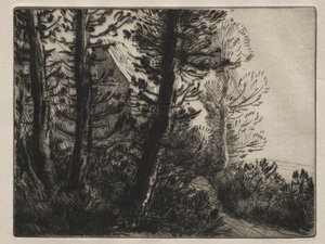 Casa da Guarda de Alphonse Legros