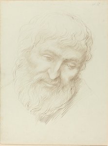 Cabeça de um homem de Alphonse Legros