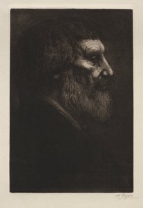 Cabeça de um homem de Alphonse Legros