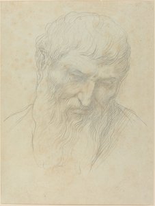 Cabeça de um homem com cabelo encaracolado e barba. de Alphonse Legros