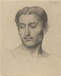 Cabeça de um jovem de Alphonse Legros