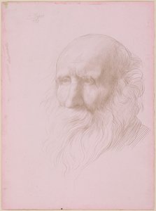 Cabeça de um velho de Alphonse Legros