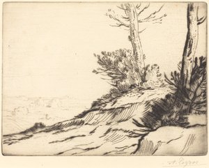 Colina com Arbustos (La butte aux broussailles) de Alphonse Legros