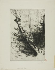 Em uma madeira de Alphonse Legros
