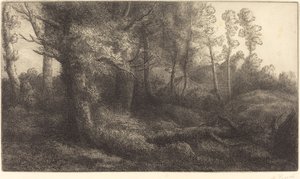 Na Floresta Lisiere de foret. de Alphonse Legros