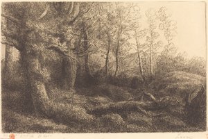 Na Floresta Lisiere de foret. de Alphonse Legros