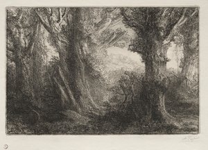 Na floresta em Conteville. de Alphonse Legros