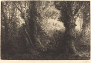 Na floresta de Conteville Dans la foret de Conteville. de Alphonse Legros