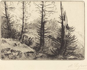 Nos Pirenéus Dans les Pyrenees. de Alphonse Legros