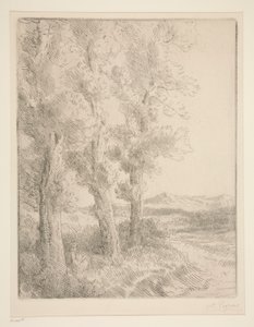 Mulher lendo: lição debaixo das árvores de Alphonse Legros