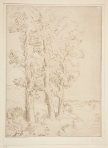 La liseuse: La lecture sous les arbres (Leitura da Mulher: Lição sob as Árvores) de Alphonse Legros