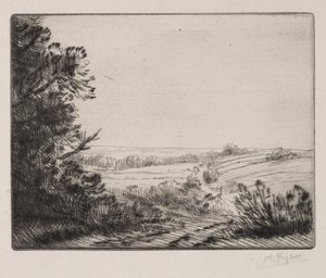 Panorama. de Alphonse Legros