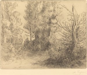Paisagem: Perto de Chailleux de Alphonse Legros