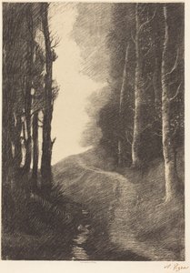 Paisagem com bétulas