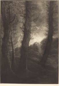 Grandes árvores vistas contra o sol Grandes árvores: efeito vespertino. de Alphonse Legros