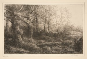 Lisiere de Foret de Alphonse Legros