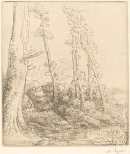 Little Pond La petite égua. de Alphonse Legros