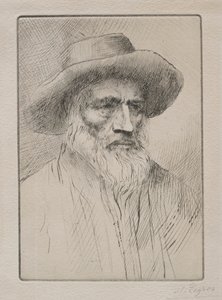 Camponês dos Vosges de Alphonse Legros