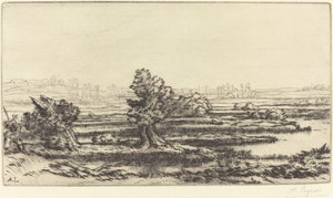 Pântanos de turfa Les Tourbieres. de Alphonse Legros