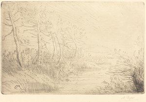 Floresta. de Alphonse Legros