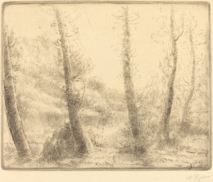 Pequeno lago de Alphonse Legros