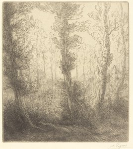 Pequeno lago de Alphonse Legros