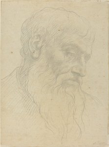 Estudo de uma cabeça. de Alphonse Legros