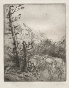 A Fazenda do Morro de Alphonse Legros