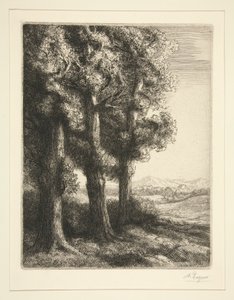 Tres arvores de Alphonse Legros