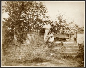 [Marie Mucchová com a filha Jaroslava no parque de Zbiroh, Boémia] de Alphonse Maria Mucha