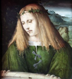 Narciso na fonte