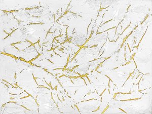 Textura Dourada Orgânica de Alyson Storms