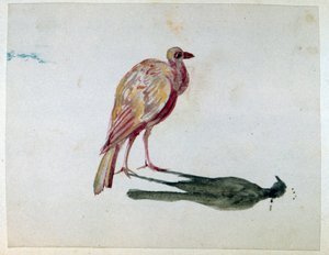 Um pássaro". Aguarela. Aurore Amadine Lucie Dupin (1804-1876) romancista e feminista francesa que escreveu sob o nome de George Sand.