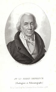 Jacques-Louis Marin da França de Ambroise Tardieu