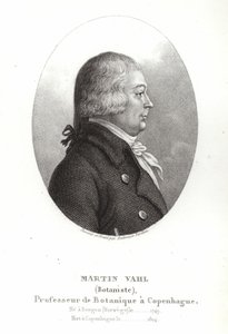 Martin Vahl de Ambroise Tardieu