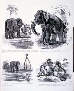 ilustração para A Arte de engordar e perder peso de Amédée de Noé