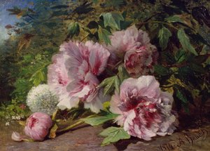 Estudo de peônias, 1874 de Amedee Baudit