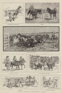 Estação de Criação de Cavalos da Austrália do Sul