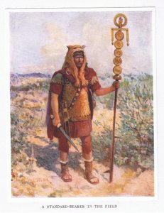 Um, padrão, portador, em, a, campo, ilustração, de, a, romana, soldado, 1928 de Amedee Forestier
