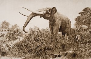 O elefante de Chatham, ilustração de "O esboço da história" por HG Wells, Volume I, publicado em 1920 (lito)