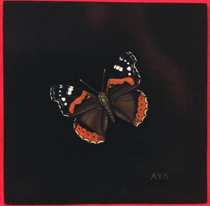 Borboleta Almirante Vermelho, 2001