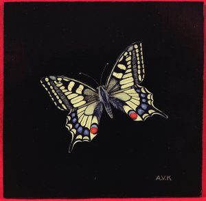 Borboleta rabo de andorinha, 1999