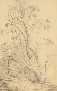 Árvores em Bromley [ou Árvores]