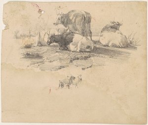 Rebanho de gado de American 19th Century